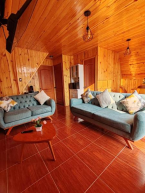 Cabañas el Pinar de Oxapampa